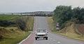 Follow the Leader _ (173)